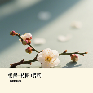 惊 醒一枝梅（男声）