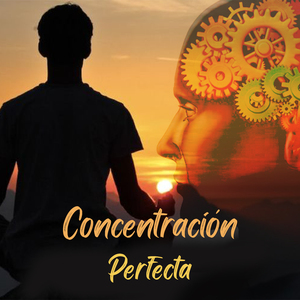 Concentración Perfecta
