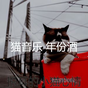 微妙的猫午睡时间心情