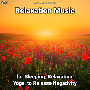 Relaxation Music Pt. 24