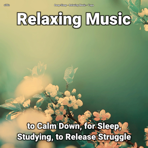 Relaxing Music Pt. 24
