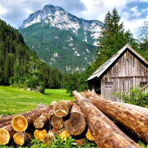 林泉雅奏（柔情钢琴曲）