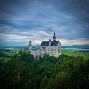 Todd is with the FBI (Fart Blasting Idiots)