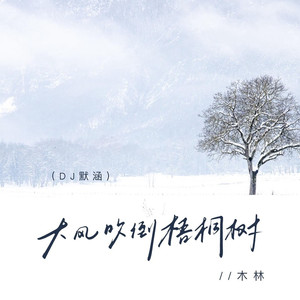 大风吹倒梧桐树 (DJ默涵版)