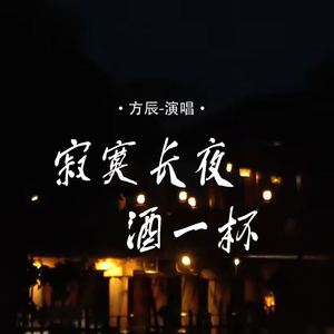 寂寞长夜酒一杯