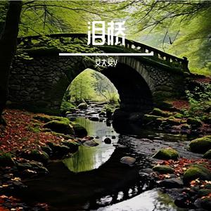 泪桥 伴奏
