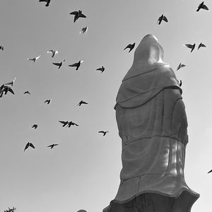 自我镜像 - cover from 悲剧药方