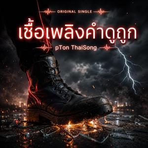 เชื้อเพลิงคำดูถูก