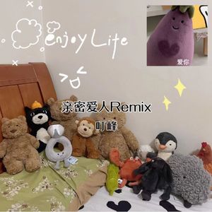 亲密爱人remix