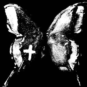 我不需要爱我需要忠诚