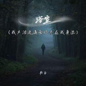 浴室 (我又泪流满面你不在我身边)