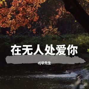 你存在我深深的脑海里(抖音热搜DJ)