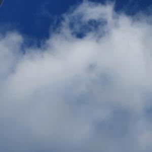 포기하고 놓다보니