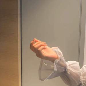 第三人称（翻自 买辣椒也用卷）