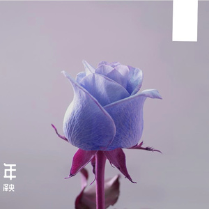 少年时代（翻自 时代少年团）