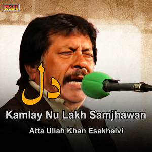 Dukhi Kar K Tur Gaya Ain