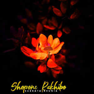 shopone rakhibo