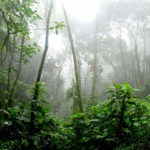 I Need You (feat. Daark)