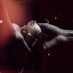 Happiness & The Light It Sheds