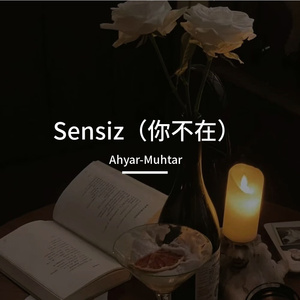 Sensiz（你不在）