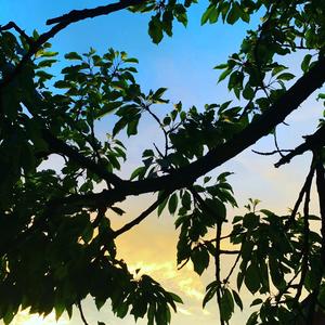 Foggy (feat. Sawibeatz)