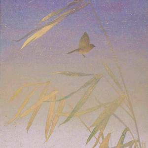 前来忏悔（翻自 羽生まゐご）