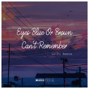 Eyes Blue Or Brown Can't Remember (Lo-Fi Remix)