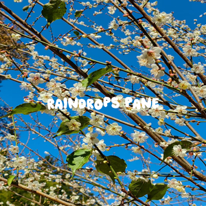 Tranquil Reflections