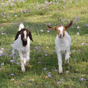 随机抽取一首Jay-C的黑历史