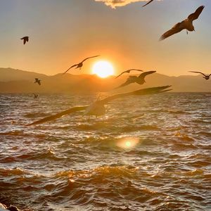 是想你的声音啊 伴奏