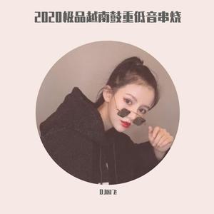 2020极品越南鼓重低音串烧（翻自 群星）