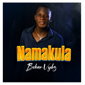 Namakula