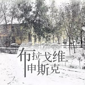 布拉戈维申斯克