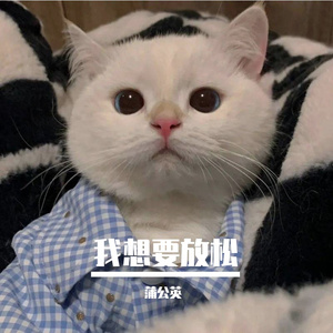放松