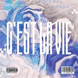 C'EST LA VIE (feat. pangi)