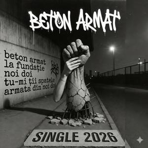 Beton Armat