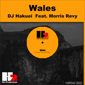 Wales (DJ Hakuei Afro Instrument Remix)