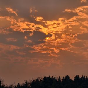 回忆是顽疾时间是无效的药