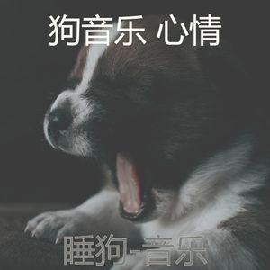 睡狗(情怀)