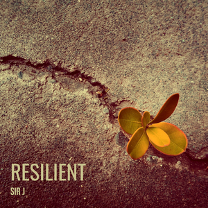Resilient