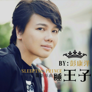 睡王子