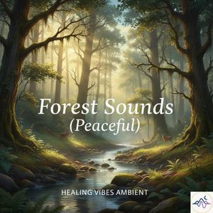 Forest Sounds (Peaceful)