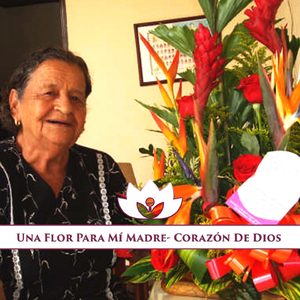 Abuelita (Guitarras)
