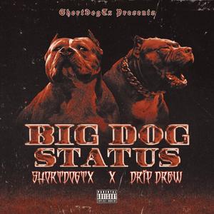 Big Dog Status (feat. Drip Drew)