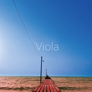 Viola