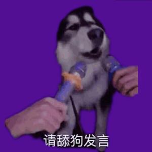 夏日限定舔狗（prod.jos10）