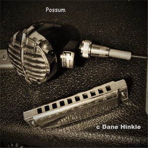 Possum