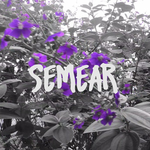 Semear
