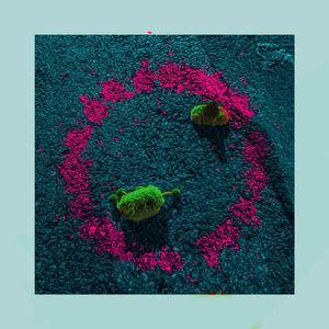 机器·爱（Prod By HC Dawn）