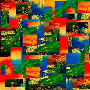 Reconocimiento (Demo)